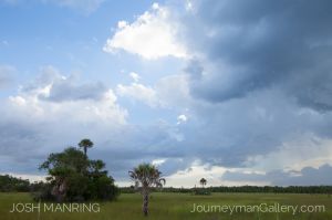Josh Manring Photographer Decor Wall Arts - Florida Photography-121.jpg